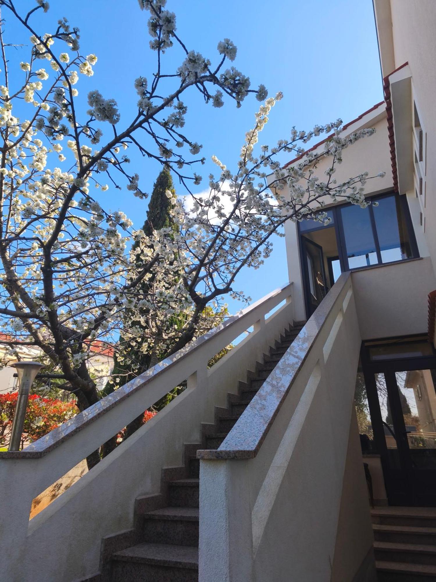 Apartmani Romana Punat Exteriér fotografie